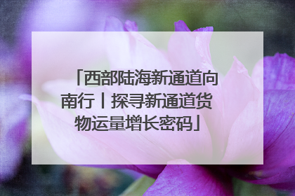 西部陆海新通道向南行丨探寻新通道货物运量增长密码