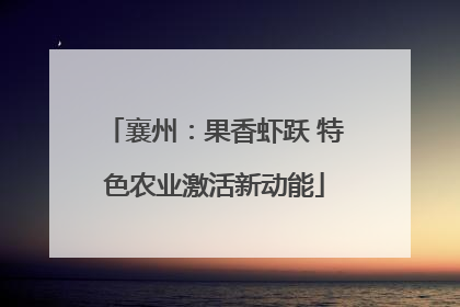 襄州：果香虾跃 特色农业激活新动能