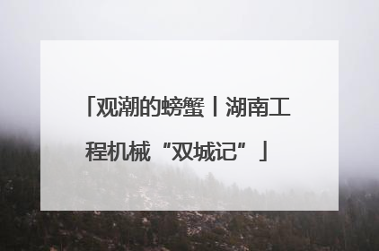 观潮的螃蟹丨湖南工程机械“双城记”