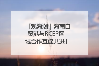 观海潮｜海南自贸港与RCEP区域合作互促共进