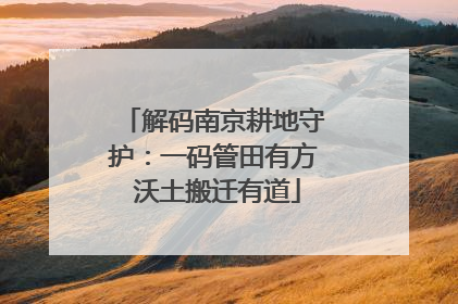 解码南京耕地守护：一码管田有方 沃土搬迁有道