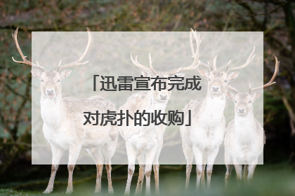 迅雷宣布完成对虎扑的收购