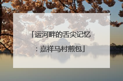 运河畔的舌尖记忆：嘉祥马村煎包