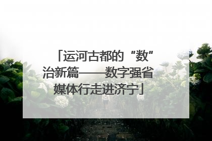 运河古都的“数”治新篇——数字强省媒体行走进济宁