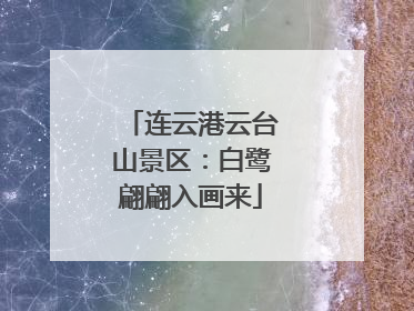 连云港云台山景区：白鹭翩翩入画来