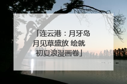 连云港：月牙岛月见草盛放 绘就初夏浪漫画卷