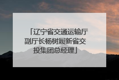 辽宁省交通运输厅副厅长杨树履新省交投集团总经理