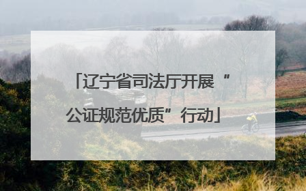 辽宁省司法厅开展“公证规范优质”行动