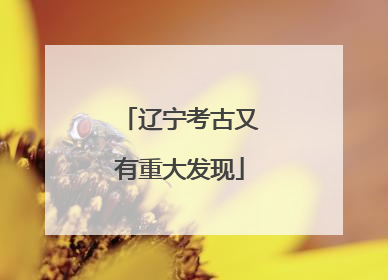 辽宁考古又有重大发现