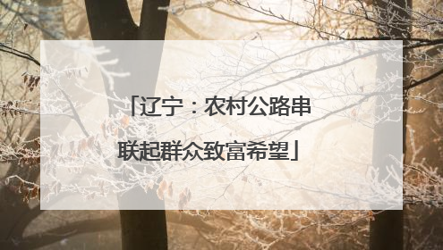辽宁：农村公路串联起群众致富希望