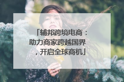 辅邦跨境电商：助力商家跨越国界，开启全球商机