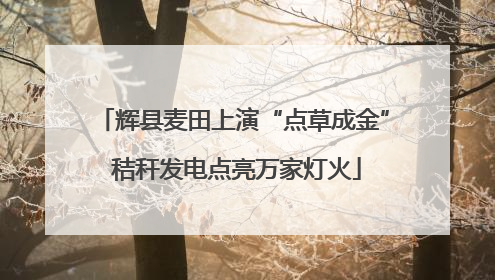 辉县麦田上演“点草成金” 秸秆发电点亮万家灯火