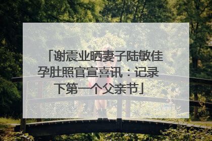 谢震业晒妻子陆敏佳孕肚照官宣喜讯：记录下第一个父亲节