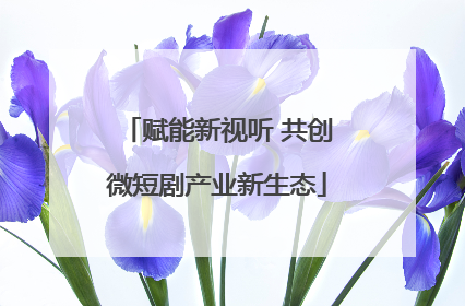 赋能新视听 共创微短剧产业新生态