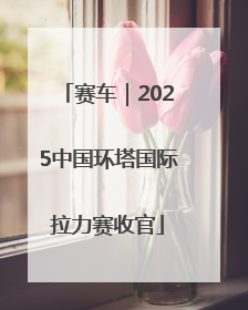 赛车｜2025中国环塔国际拉力赛收官