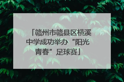 赣州市赣县区横溪中学成功举办“阳光青春”足球赛