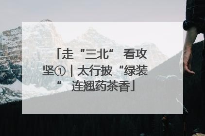 走“三北” 看攻坚①｜太行披“绿装” 连翘药茶香