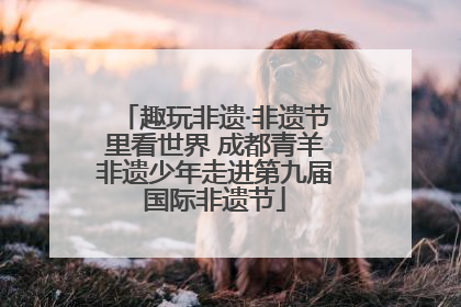趣玩非遗·非遗节里看世界 成都青羊非遗少年走进第九届国际非遗节
