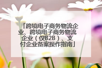 跨境电子商务物流企业、跨境电子商务物流企业（仅B2B）、支付企业备案操作指南