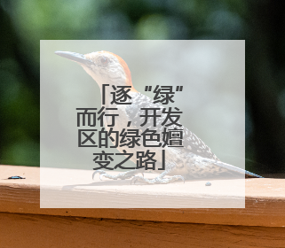 逐“绿”而行，开发区的绿色嬗变之路