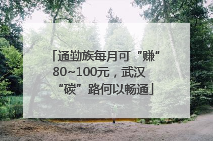 通勤族每月可“赚”80~100元，武汉“碳”路何以畅通