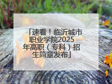 速看！临沂城市职业学院2025年高职（专科）招生简章发布