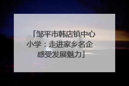 邹平市韩店镇中心小学：走进家乡名企 感受发展魅力