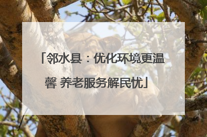 邻水县：优化环境更温馨 养老服务解民忧