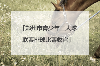 郑州市青少年三大球联赛排球比赛收官