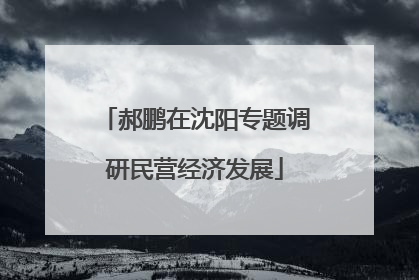 郝鹏在沈阳专题调研民营经济发展