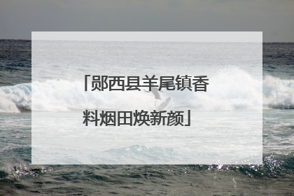 郧西县羊尾镇香料烟田焕新颜