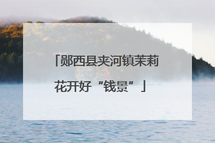 郧西县夹河镇茉莉花开好“钱景”