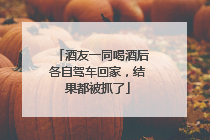 酒友一同喝酒后各自驾车回家，结果都被抓了