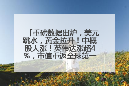 重磅数据出炉，美元跳水，黄金拉升！中概股大涨！英伟达涨超4%，市值重返全球第一！黄仁勋计划出售至多600万股股票