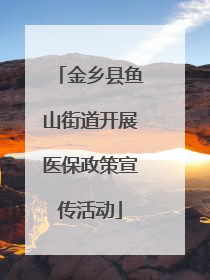金乡县鱼山街道开展医保政策宣传活动