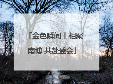 金色瞬间丨相聚南博 共赴盛会