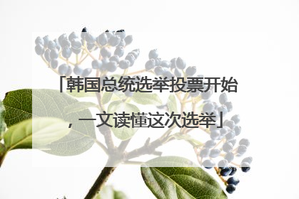 韩国总统选举投票开始，一文读懂这次选举