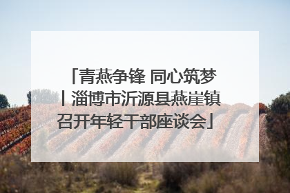 青燕争锋 同心筑梦丨淄博市沂源县燕崖镇召开年轻干部座谈会