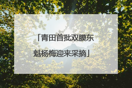 青田首批双膜东魁杨梅迎来采摘