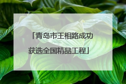 青岛市王相路成功获选全国精品工程