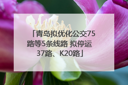 青岛拟优化公交75路等5条线路 拟停运37路、K20路