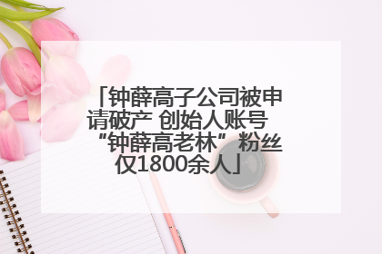 钟薛高子公司被申请破产 创始人账号“钟薛高老林”粉丝仅1800余人