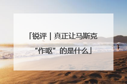 锐评｜真正让马斯克“作呕”的是什么