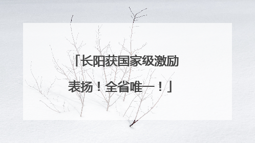 长阳获国家级激励表扬！全省唯一！