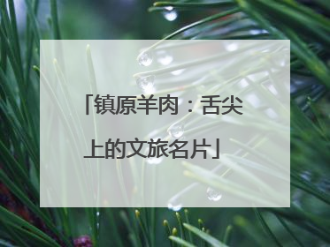 镇原羊肉：舌尖上的文旅名片