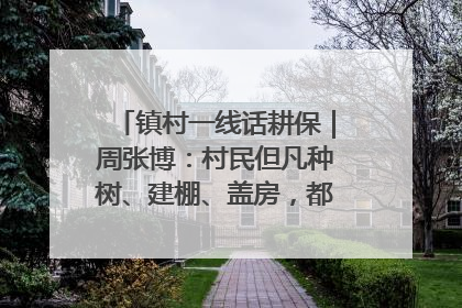 镇村一线话耕保｜周张博：村民但凡种树、建棚、盖房，都要向街道报批