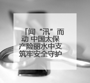 闻“汛”而动 中国太保产险丽水中支筑牢安全守护网