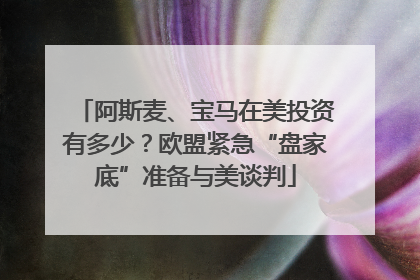 阿斯麦、宝马在美投资有多少？欧盟紧急“盘家底”准备与美谈判