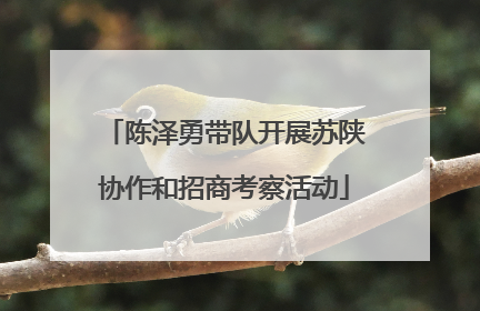 陈泽勇带队开展苏陕协作和招商考察活动