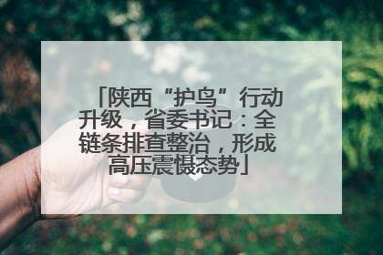 陕西“护鸟”行动升级，省委书记：全链条排查整治，形成高压震慑态势